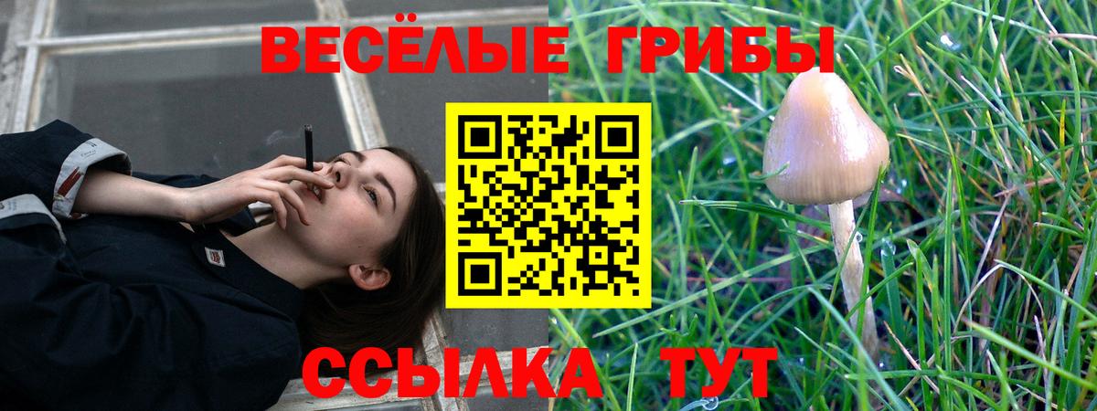 Псилоцибиновые грибы Magic Shrooms  наркота  Знаменск  Вход с VPN 